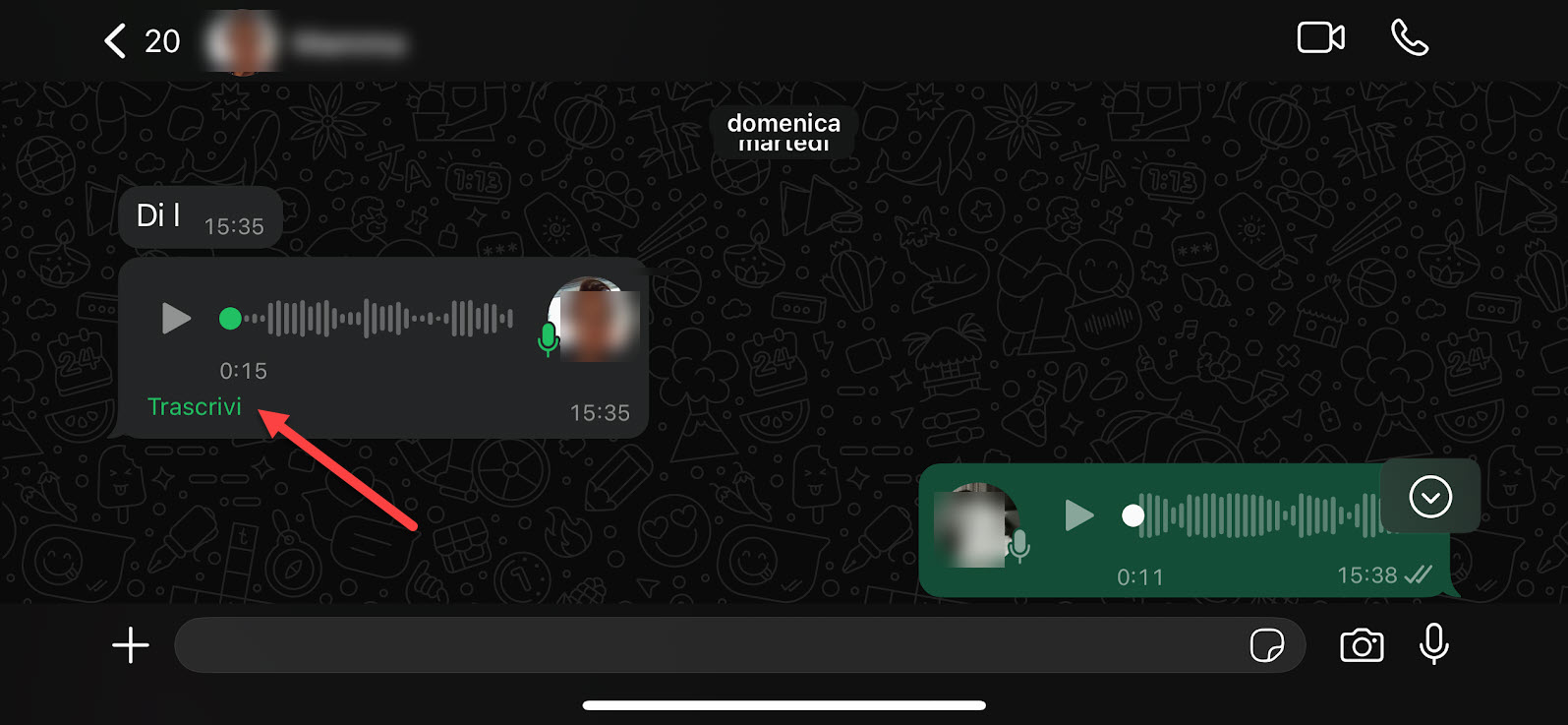 trascrivere audio whatsapp